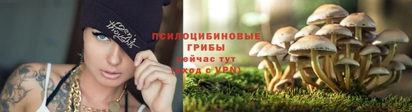 каннабис Карпинск