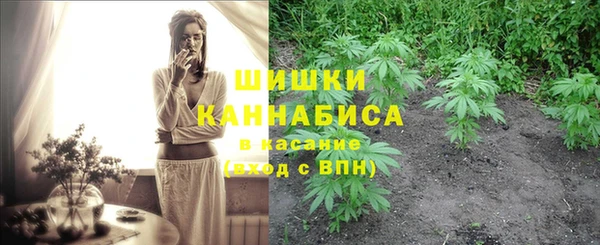 спиды Касимов