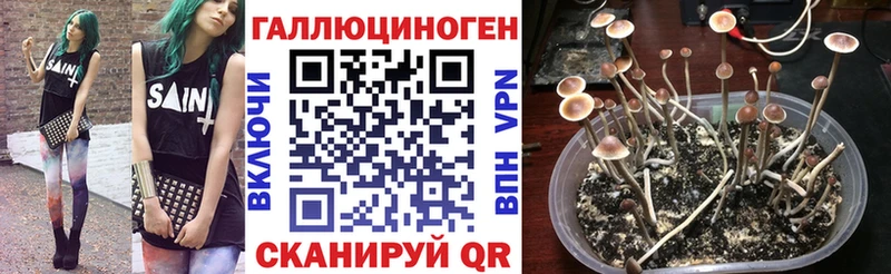 Галлюциногенные грибы MAGIC MUSHROOMS  Купить  Карачев 